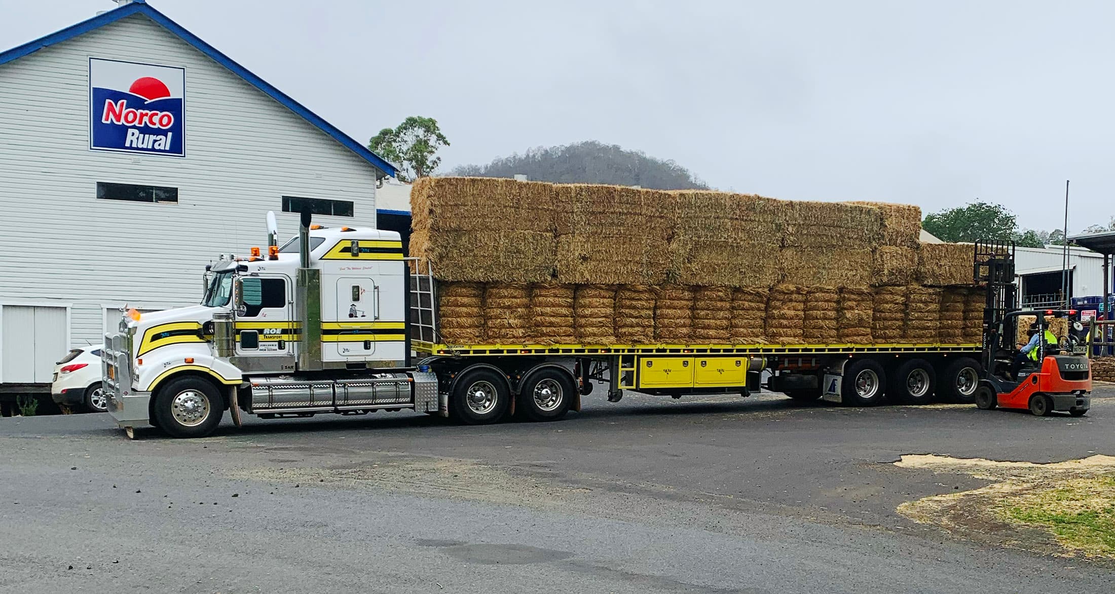Hay bales secured for agricultural transport